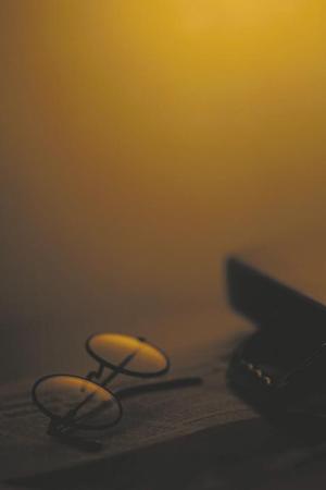 ガチャガチャの森：魅力的な商品と楽しい体験を提供するお店の紹介