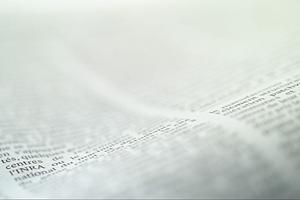 ガチャガチャの森：多彩なラインナップと楽しい体験を提供する魅力的な店舗