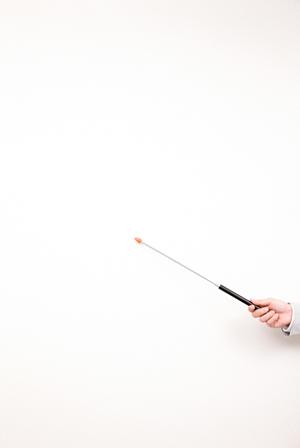 ガチャガチャの森：多彩な商品ラインナップと楽しい体験を提供するお店